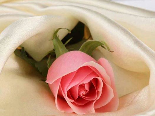 „NAROZENINOVÁ BÁSNIČKA PRO PÉŤU

Happy birthday
a hodně zdraví
a vůbec se nedej
ať tě život baví
všechny trable odhazuj v dál
a usmívej se aby za něco stál
každý den který prožiješ
tak úžasně jak ty sama chceš
a i když se to někdy stává
že se něčeho nedostává
o to víc vděčnosti v srdci měj
a na všechny se usmívej
úsměvem který ti nejvíc sluší
a ukazuje že ty máš klid v duši!
(Pomezí 20.3.2015)

Milá Péťo, hodně všeho dobrého na každý tvůj další den a ať je jich ještě hodně moc dlouhá řada!!!“